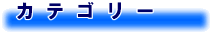 カテゴリー